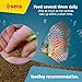 sera Discus Prob Granules 4 oz. | Complete Growth Food for Discus Fish | with Probiotics & Astaxanthin | No Dyes & Preservatives Consisting of Soft Granules | Supports Immune System