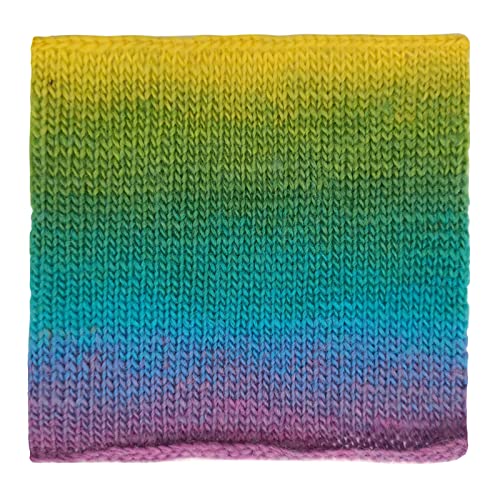Image of 2 Skeins Rainbow Soft Yarn 100% Wool Gradient Multi Color Yarn for Crocheting Knit Total Length 180mx2(196ydsx2,50gx2)-24
