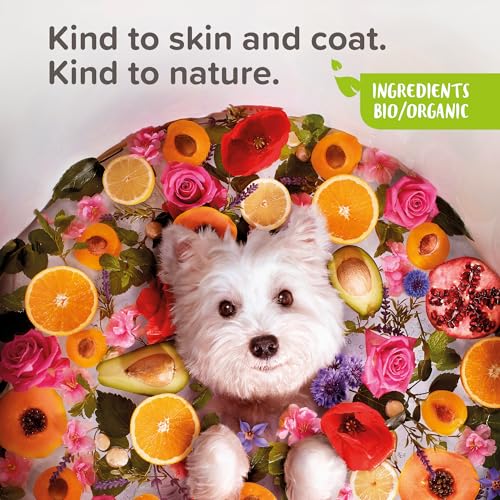 BEAPHAR ECOCERT 2-in-1 Entwirrungsshampoo für Hunde – enthält Aloe Vera, Arganöl und Bio-Aprikose – pH-neutral – ohne Parabene/Silikon/Farbstoffe und ohne Alkohol – 200 ml