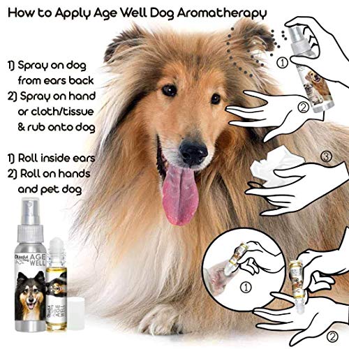 Image of The Blissful Dog Collie Age Well Dog Aromatherapy Roll-On Bottle for Your Dog's Peaceful Ageing