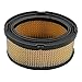 Anzac 33268 Paper Air filter with Spark plug for Tecumseh HM70 HM80 TVM195 VM80 H35 HM100 H80 HXL840 8thru 10HP engines for Oregon 30-100 Tecumseh Part 33268