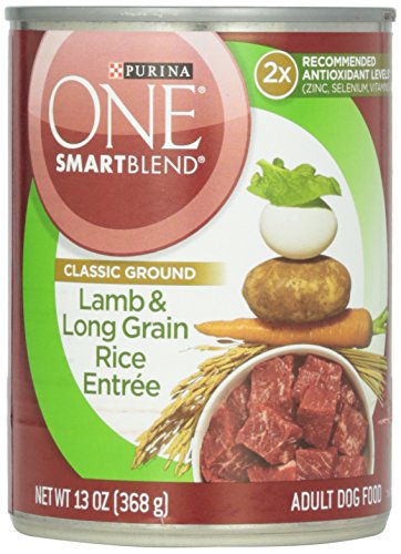 Purina ONE Smart Blend Lamb and Rice Dog Food, 7-kg main image 0