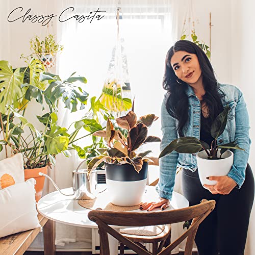 Classy Casita Soil Moisture Meter- Soil Moisture Sensor For Indoor & Outdoor Plants, Moisture Meter For House Plants W/Plant Watering & Care Ebook, Houseplant Accessories, Gardening Gadgets, Black #TOP5