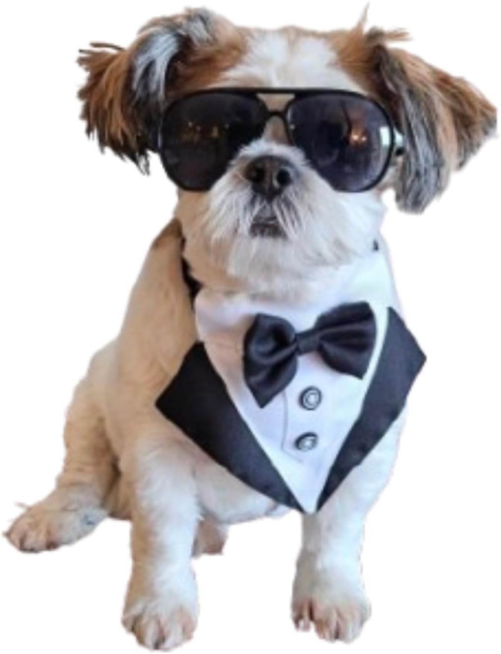 Disfraz para Perro con Gafas Retro y Moño Tuxedo Pequeño a Mediano