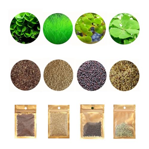 Image of 4 Pack Aquarium Plant S.e.e.d Set, not Artificial plasticl Plant. Real Grass Tank Decor Replacement for Resin or Plastic Grass N0:9527-2