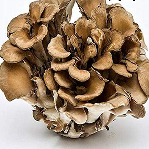 Amazon  【産地厳選】 まいたけ 舞茸 1パック 送料別  808青果店