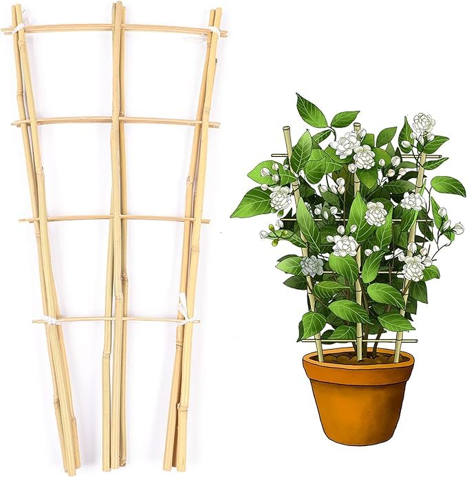 Gameya Enrejado de bambú Natural con Forma de abanico, 60 cm, soporte ecológico para plantas trepadoras, verduras y frutas – Paquete de 3 enrejados