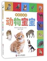 宝宝认知生肖卡 胖胖猪买食物 7213073044 Book Cover