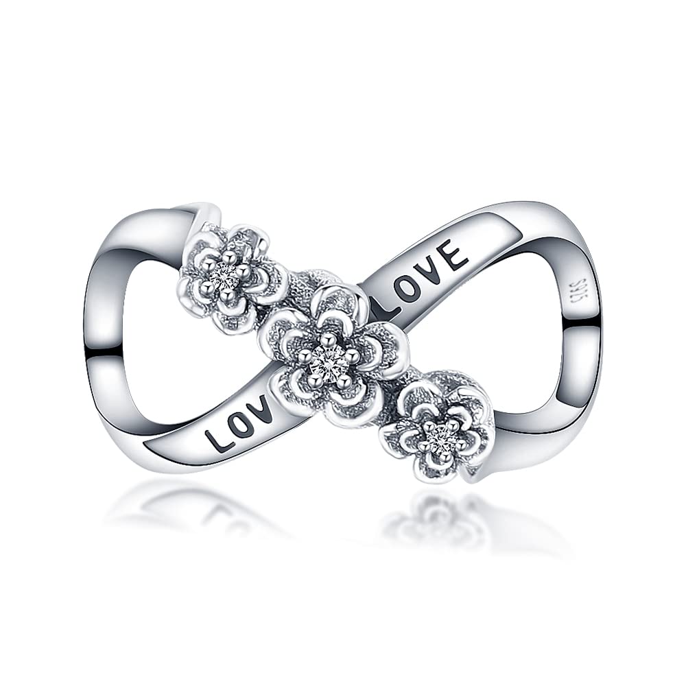 Pandach925 Sterling Silver Charms for Bracelets Necklace with 5A CZ Stones Dangle Pendant Bead Jewelry Beads Gifts for Women