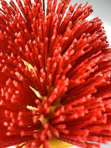 Image of Signi Abrasive nylon bristle Burnishing Brush Drum Drawing Wheel for polishing wood (80 grit red)