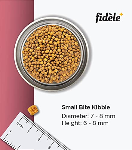 Image of Fidele+ Small & Medium Puppy Food | 900g | Nutrient Rich Growth | Immunity & Digestion Support | Real Chicken | Natural Herb Mix