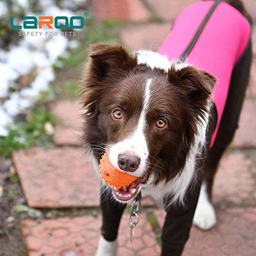 Laroo Squeaky Dog Ball Toy, Durable Natural Rubber Squeaker Ball Floating Throwing Training, Teeth Cleaning Chew Toy For Pet Small Medium Large Dogs (6.5Cm Orange) #TOP7