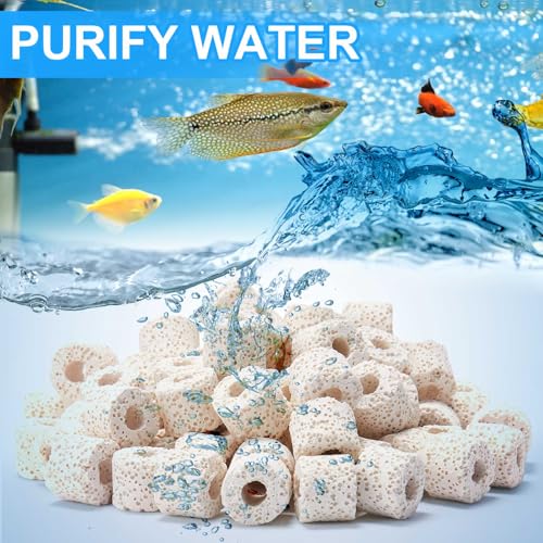 Image of Threlaco 4 Set Aquarium Filter Compatible with Fluval SPEC, EVO, Betta and Flex Desktop Aquarium Series, Foam Filter, Carbon, Ammonia /Phosphate /Nitrite Remover Pad, Ceramic Ring, Cord, Grease & Bag