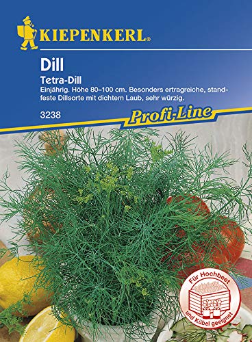 Preisvergleich Produktbild Kiepenkerl 3238 Dill Tetra (Dillsamen)