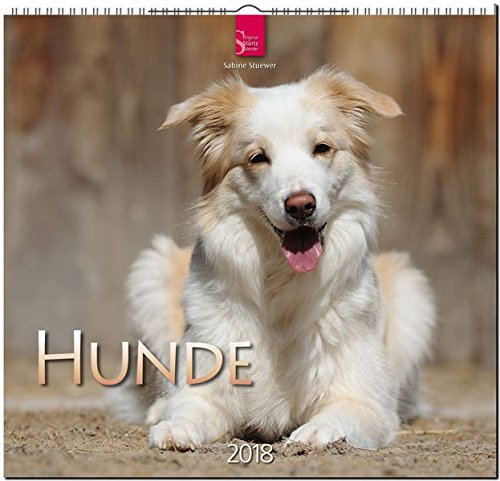 HUNDE: Original Stürtz-Kalender 2018 - Mittelformat-Kalender 33 x 31 cm HUNDE: Original Stürtz-Kalender 2018 - Mittelformat-Kalender 33 x 31 cm