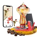 TT Nature Glass Smart Hummingbird Feeder with Camera Solar Powered 2K- AI Identify & Water Detection, Instant Notification, Leakproof & Ant Moat, Compatible with Alexa & Google Assistant