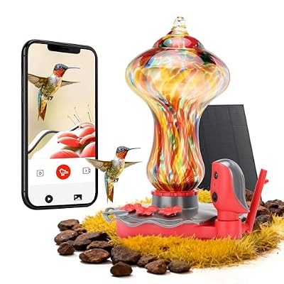 TT Nature Glass Smart Hummingbird Feeder with Camera Solar Powered 2K- AI Identify & Water Detection, Instant Notification, Leakproof & Ant Moat, Compatible with Alexa & Google Assistant
