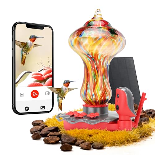TT Nature Glass Smart Hummingbird Feeder with Camera Solar Powered 2K- AI Identify & Water Detection, Instant Notification, Leakproof & Ant Moat, Compatible with Alexa & Google Assistant