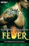 Feuer - Gefährliche Begierde: Feuer 3 (German Edition)