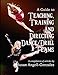 A Guide to Teaching, Training and Directing Dance and Drill Teams: A compilation of articles by Susan Angell-Gonzalez