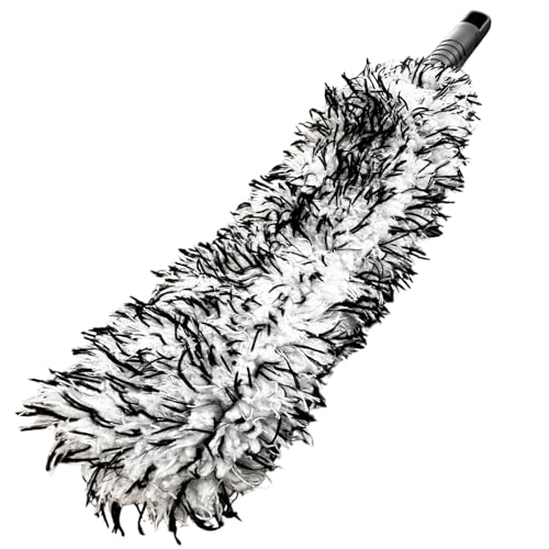 zC[uV ԃuV yӂӂ}CNt@Co[ŏȂ܂Ő􂢎cz ^CN[i[ }CNt@Co[ ^CuV zC[p