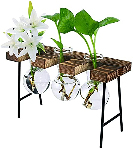 RRMMAN Desktop-Pflanzenterrarium mit Retro-Holzstandbirnenvasen Glaspflanzgefäß für Hydrokulturpflanzen Hausgarten Bürodekoration (3 Vase + 1 Ständer) Cover