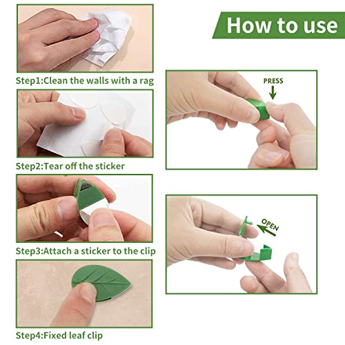 Luvadeyo Set van 30 plantenclips voor klimmende plantenclips, zelfhechtende wandmontageclip, plantenhouder, klimhulp… - Image 8