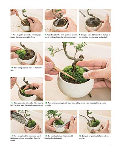 Miniature Japanese Gardens: Beautiful Bonsai Landscape Gardens for Your Home