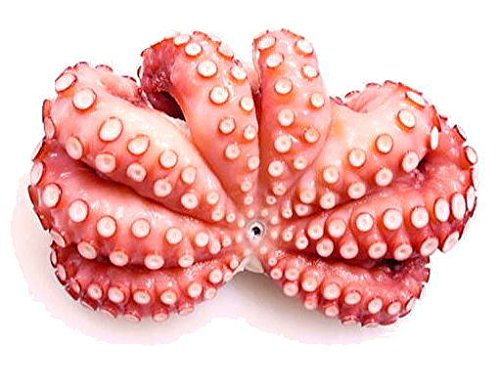 柳タコ ボイルまるごと1杯 およそ約1kg ・ボイル【柳たこ】・