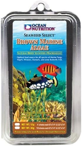Ocean Nutrition Seaweed Select Brown Algae with Garlic - 10 Sheets