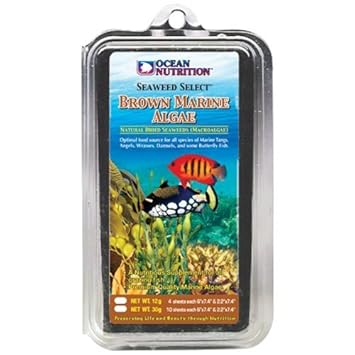 Ocean Nutrition Brown Marine Algae, 30 g