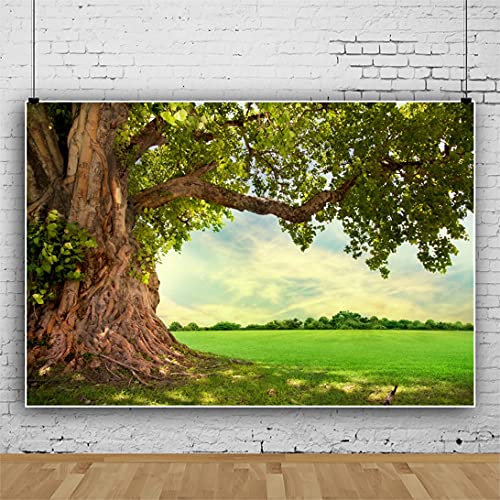 CSFOTO 1,5x1m Enorme Albero Verde Sfondo Primavera...