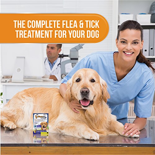 Vetguard plus flea and tick treatment Outlet
