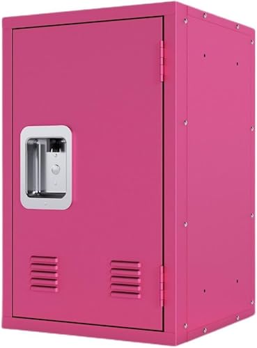 Miniatura 10 de Gabinete de almacenamiento de acero de un solo nivel, organizador de gabinete pequeño de 24 pulgadas de alto para escuela, oficina, hogar y garaje