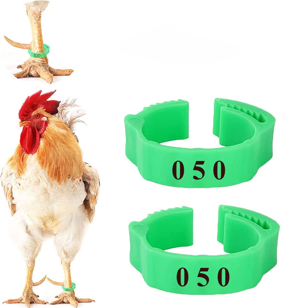 100 Pezzi Anelli per Pollo,Anello di Piccione di Plastica,Riutilizzabile,2,8 cm,Anello per la Punta del Pollame,per l'identificazione di Pollame,Polli,Piccioni,Pappagalli(Verde)