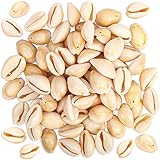 68-70 pcs/Box Natural Spiral Shell Beads Seashells Beach Seashells Cowrie Shells Charms and Beads with Holes for DIY Craft Jewelry Making, Bracelet Necklace Making, Seashell Candle Making(18-20mm)