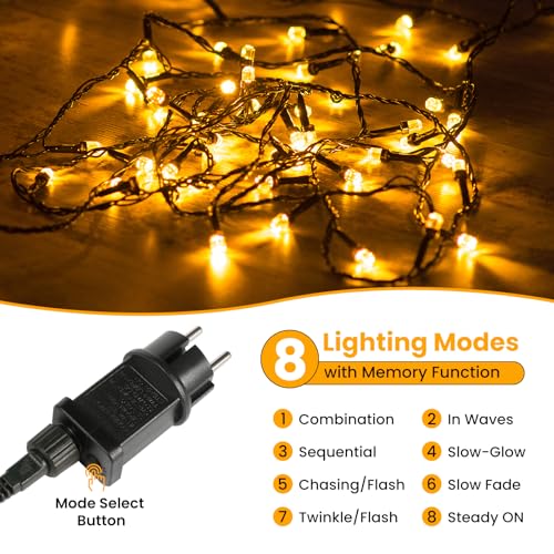 Photo complémentaire