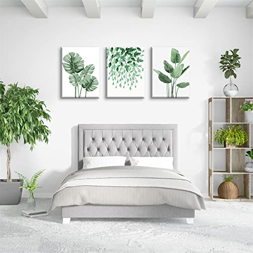Plant Wall Art Green Prints - Botanical Leaf Pictures For Home Decoration Framed 12X16Inches Tropical Canvas Foliage Artwork Eucalyptus Poster Aloe Paitings For Indoor Office Bedroom Living Room Decor #TOP1