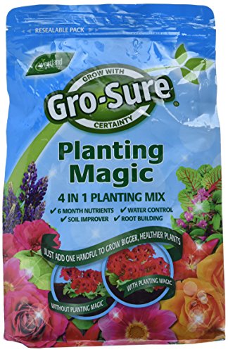Westland Horticulture 2 kg Gro-Sure Engrais Magic Plantation Mix