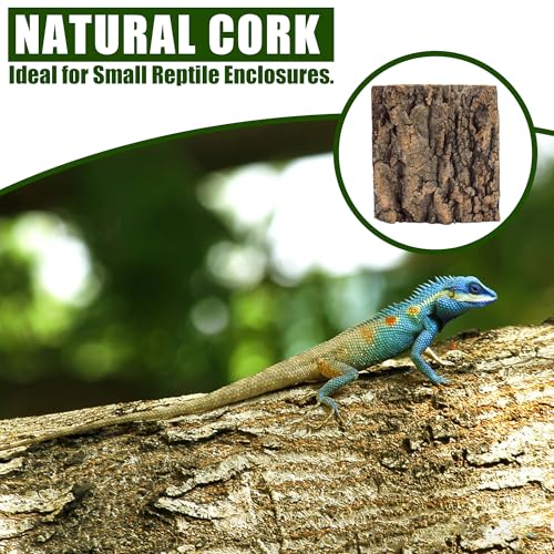 Image of Cork Bark for Terrarium,4Pcs 5.9x5.9In Cork Bark for Reptiles Terrarium Background Accessories