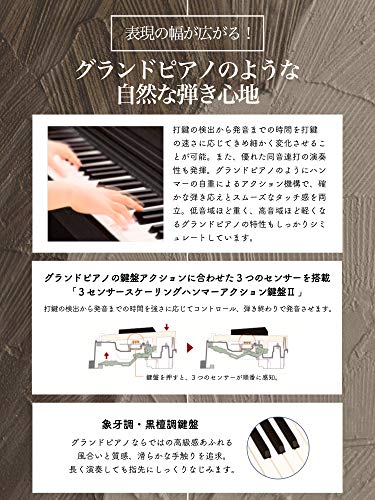 Casio AP-270BN 88keys Chêne piano numérique Clavier électronique 18 W 1417 mm 432 mm 821 mm 36,6 kg USB Type B - Les Beatles, Paul McCartney, John Lennon, RIngo Starr, George Harrison Casio AP-270BN 88keys Chêne piano numérique Clavier électronique 18 W 1417 mm 432 mm 821 mm 36,6 kg USB Type B – Image 5