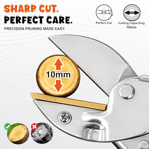 Image of JD FRESH Anvil Roll Cut Pruning Secateurs 8 Inch, Alloy Steel Blade Plant Cutter, Garden Pruning Shears for Dry & Hard Branches, Stems, Shrubs & Flowers with Safety Lock, Anti Slip Handle, Orange