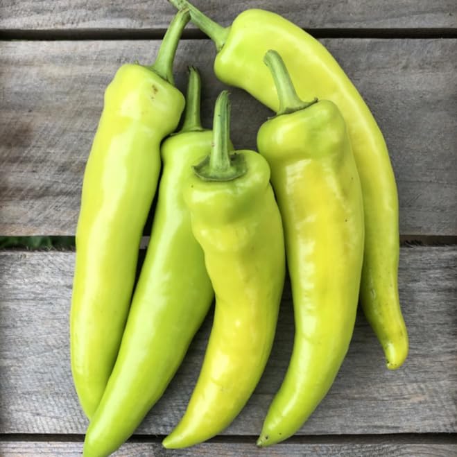 Hungarian Hot Wax Pepper Seeds - 300+ Count - for 2025 Planting 15,000 Scoville Guero Yellow Chile Chili Non-GMO Heirloom Banana Bell Jalapeno Vegetable Grow Your Own Home Farm Patio