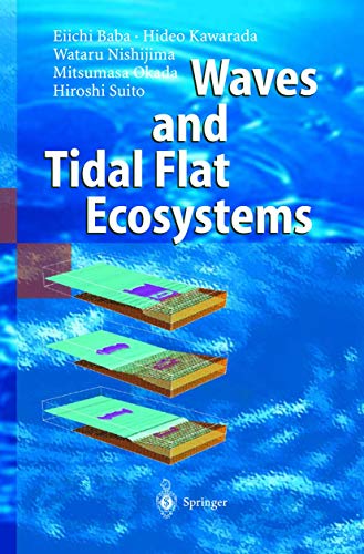 Waves and Tidal Flat Ecosystems view 2