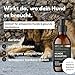 VetDok® by Dr. Winkler dermatologisches Hundeshampoo – Fellpflege Hund mit Manuka-Honig & Chlorhexidin – für alle Hunderassen, Welpen & speziell Allergiker – 250ml
