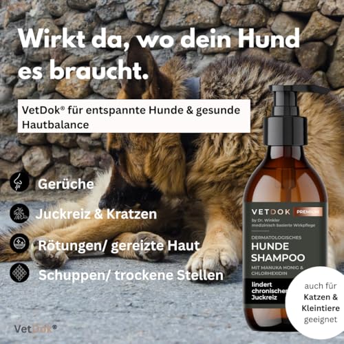 VetDok® by Dr. Winkler dermatologisches Hundeshampoo – Fellpflege Hund mit Manuka-Honig & Chlorhexidin – für alle Hunderassen, Welpen & speziell Allergiker – 250ml