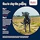 HALTI No Pull Anti-Zug Geschirr - Verhindert, DASS Ihr Hund an der Leine zieht, Gepolsterter Brust- und Beingurt, Reflektierendes Gurtmaterial, Einfache Anpassung und Benutzung (Größe XS, Schwarz)