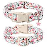 DOGWONG Hundehalsband, Hunde Halsband für Kleine Mittlere und Große Hundes, Komfort Gemustertes Hundehalsbänder Verstellbares, Rosa Rose Hunde Kragen XS