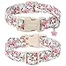 DOGWONG Hundehalsband, Hunde Halsband für Kleine Mittlere und Große Hundes, Komfort Gemustertes Hundehalsbänder Verstellbares, Rosa Rose Hunde Kragen XS