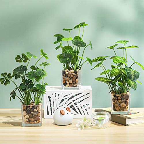 Aeojoor Artificial Plants，Fake Plants Room Decor Artificial Green Fake Plant Artificial Plants In Pots For Home Decor Indoor ，Garden Office Wall Decoration Artificial Fake Plants (Four Clover) #TOP2